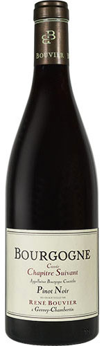 2019 Bourgogne Pinot Noir « Chapitre Suivant »