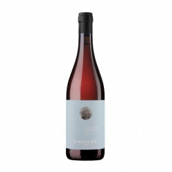Rosé Wine