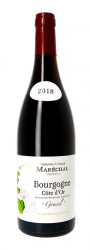 2020 'Gravel' Bourgogne Pinot Noir